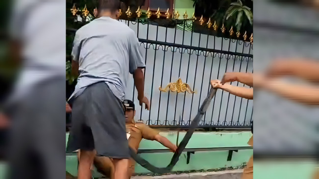 Lurah Perintis didorong warga. [Dok. Pribadi]